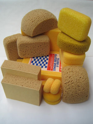 Hydro Sponge Varieties 3